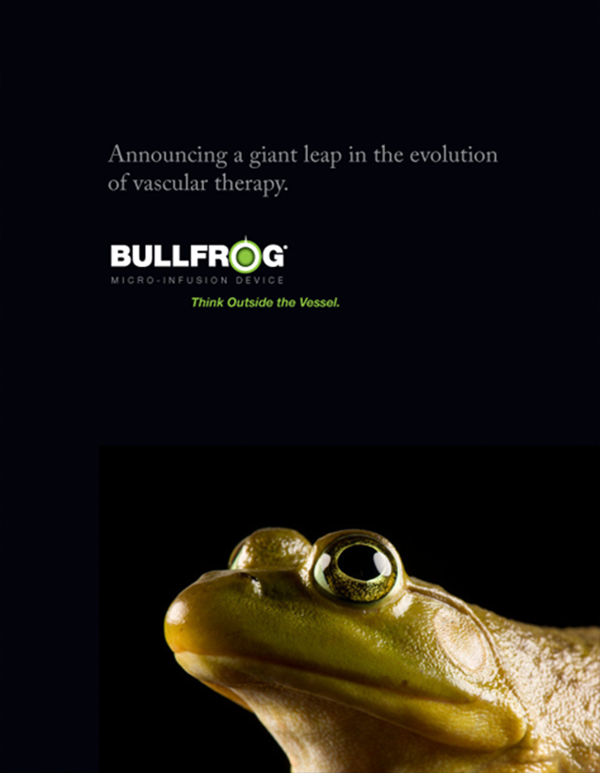 Bullfrog CaseStudy