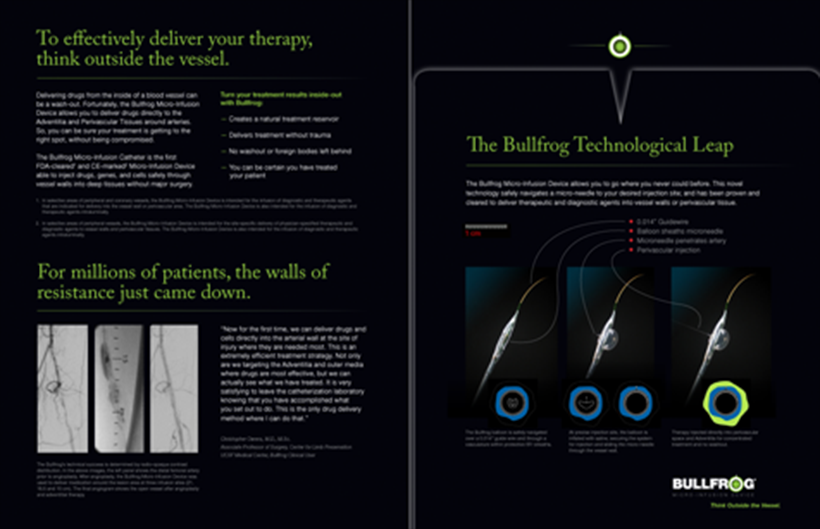 Bullfrog CaseStudy