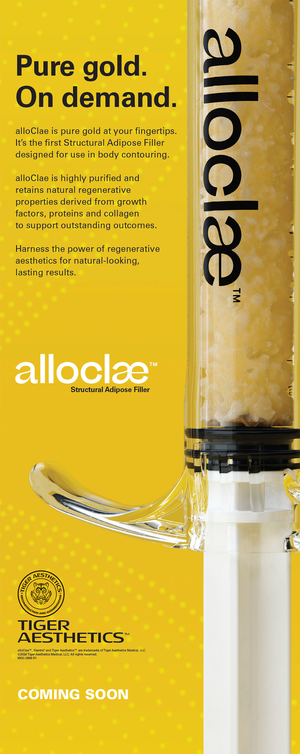 AlloClae Banner Stand