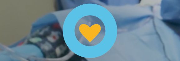 Launching a New Veterinary Brand