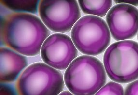 Boosting the Image of a Historic Brand